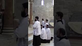 Tridentine Mass ✔️What does the Tridentine Rite look like sacerdote shortvideo shortsfunny misa [upl. by Adolphe246]