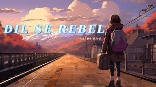 Dil Se Rebel  Ashes Bird  slowed  reverb song hindi song coversong trendingsong newsong [upl. by Daniala646]