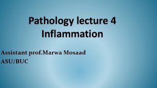 علم الأمراض  الالتهاب  pathology inflammation  Lec 4 [upl. by Ymassej]