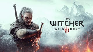 Winlator  Witcher 3 Wild Hunt Steam Copy  RM9 Pro 30FPS Novigrad City [upl. by Ttirrej]