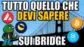 COME UTILIZZARE I BRIDGE AL MEGLIO NELLE CRYPTO [upl. by Eicam]