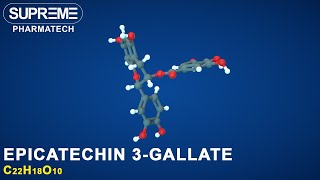 Epicatechin 3gallate  C22H18O10  3D molecule [upl. by Cimbura]