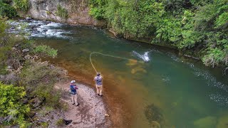 This River is Incredible Big Fish Everywhere [upl. by Raney]