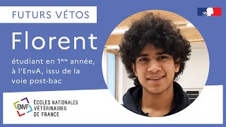 Futurs vétos  Florent raconte le concours postbac et la 1ère année vétérinaire [upl. by Anirtik]