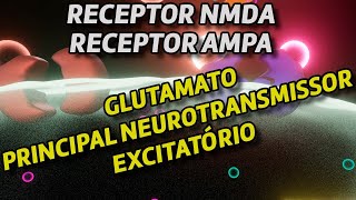 Glutamato  O principal neutrotransmissor excitatório [upl. by Aivilys]