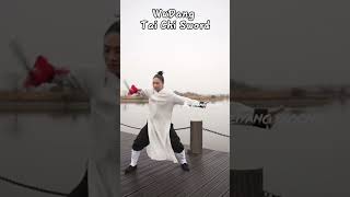 Tai Chi Sword martialarts health qigong [upl. by Htebaile]