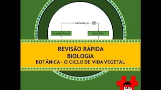 Revisão rápida  botânica o ciclo de vida dos vegetais [upl. by Higinbotham399]