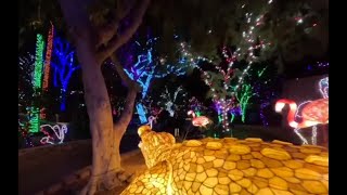 Cruise through Phoenix ZooLights this holiday season [upl. by Xever119]