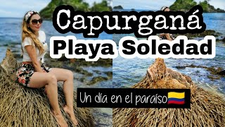 🌍PLAYA SOLEDAD en CAPURGANÁ  El increíble Bosque de Manglares 💃 Un día en el paraíso 👉 [upl. by Ayna]