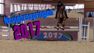 Neujahrsspringen 2017  DamDiaS [upl. by Acsehcnarf]