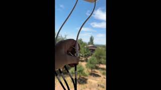 Waveform Antenna install for tmobile home internet [upl. by Zeuqirdor]