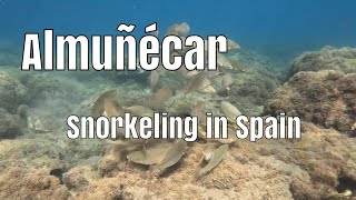 Snorkeling in Almunecar there is something to see [upl. by Eniluqcaj]