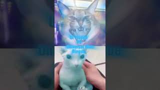 Floppa Vs Bingus All Forms  edit floppa bingus meme cat [upl. by Eissirhc]