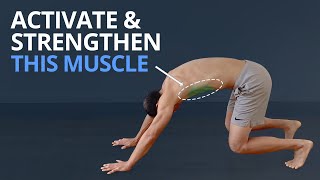 3 Top Exercises to Wake Up SERRATUS ANTERIOR PLUS Anatomy Explained [upl. by Thrasher]