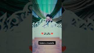 Peer Shakib Sami  peersaqibshami sorts naat islamic whatsappstatus [upl. by Toblat]