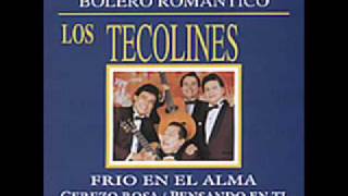 Los Tecolines  Amor Añejo [upl. by Baumann]