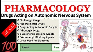 ANS PHARMACOLOGY lecturesin 1 hour plusautonomic nervous system sympathetic and parasympathetic [upl. by Kennie]