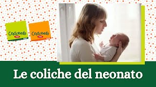 Le coliche del neonato come riconoscerle e rimedi a cura della Dottssa Caroli [upl. by Anaerdna]