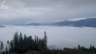 cartmel creek lookout with a couple friends great view [upl. by Balmuth]