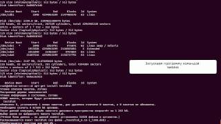 Восстановление таблицы разделов  testdisk Linux [upl. by Aran]