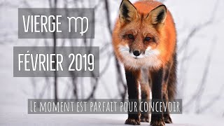 VIERGE ♍︎ ⎜FÉVRIER 2019⎜Le moment est parfait pour concevoir [upl. by Stockwell454]