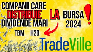 5 Companii care distribuie dividende mari la bursa in 2024  Dividende Tradeville [upl. by Dirraj]