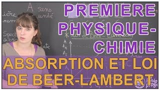 Absorption et loi de BeerLambert  PhysiqueChimie  1ère  Les Bons Profs [upl. by Dosi]