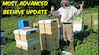 Most Advanced Beehive  Update 2 [upl. by Radbourne279]