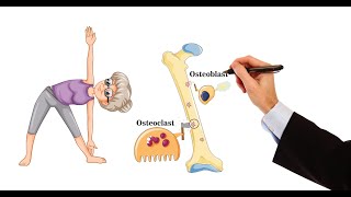 Pharmacology  DRUGS FOR OSTEOPOROSIS MADE EASY [upl. by Cumings]