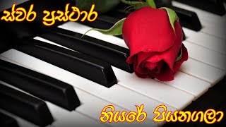 Niyare Piyanagala Organ Notetion Sinhala [upl. by Hgalehs]