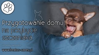 Przygotowanie domu na przybycie szczeniaka [upl. by Kacy]