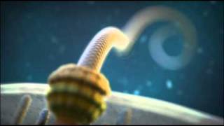 Irreducible Complexity The Bacterial Flagellum [upl. by Cirderf86]