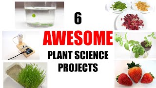 10 Awesome Plant Science Projects [upl. by Ecinahs]