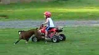 2 year old atv quad four wheeler rider Im 28 months [upl. by Lah478]