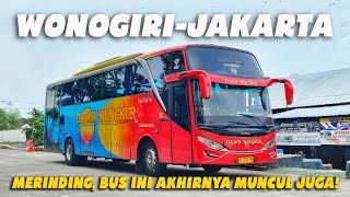 Entah Kapan Ada Lagi Saya Merasa Beruntung Bisa Naik Bus GAJAH MUNGKUR Trip Langka Bus Langka [upl. by Britta]