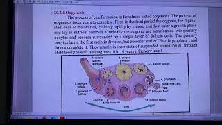 Reproduction Female Reproductive SystemMenstrual CycleDisorders in Reproductive SysS T Diseases [upl. by Caro]