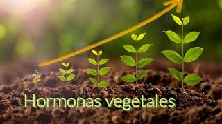 Hormonas Vegetales y Reguladores de Crecimiento [upl. by Raskin420]