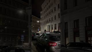 HorseDrawn Carriage in Vienna [upl. by Ainad]