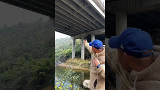 Shooting below the bridge slingshot hunting 20 [upl. by Hidie]