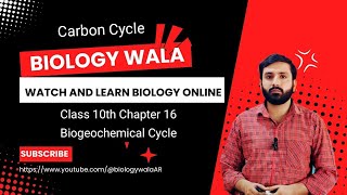 Class 10  Biology  Chapter 16  Lecture 4  Biogeochemical Cycles  Carbon Cycle [upl. by Ayekin]