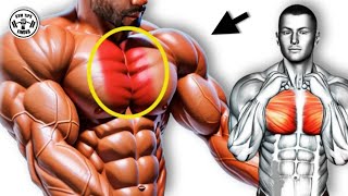 Chest Line Workout to Transform from Weak to Biger [upl. by Olram519]