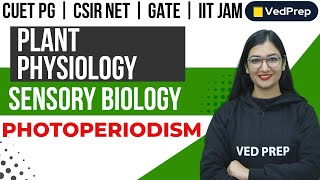 Plant Physiology  Sensory Biology  Photoperiodism CUET PGIIT JAMNET VedPrep Biology Academy [upl. by Merry]