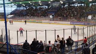 Eisbären Berlin Training 2 0708 23 [upl. by Sivad]