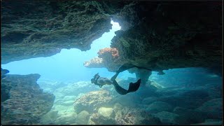 CAVE DIVING SHARKS COVE NEVER A DOWN DAY ON THE NORTH SHORE [upl. by Swope]