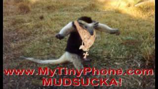 ATeam  MrT  Pick Up Your Phone Mudsucka  Free Funny Ringtone [upl. by Akcirred]