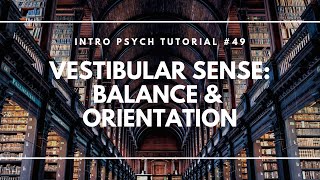 Vestibular Sense Balance amp Orientation Intro Psych Tutorial 49 [upl. by Ilaire]