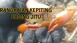 RANGKAIAN MANCING KEPITING TERBARU 20025 Anti Cadokkkk [upl. by Smitty]