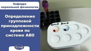 Определение групповой принадлежности крови по системе AB0 [upl. by Drusie568]