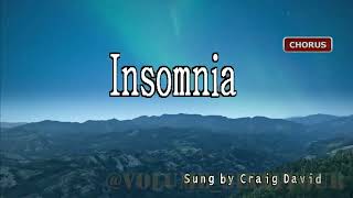 Craig David  Insomnia  KaraokeLyricsInstrumental [upl. by Dowlen290]