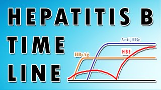 Hepatitis B Serology Patterns for Accurate Diagnosis [upl. by Aeuhsoj]